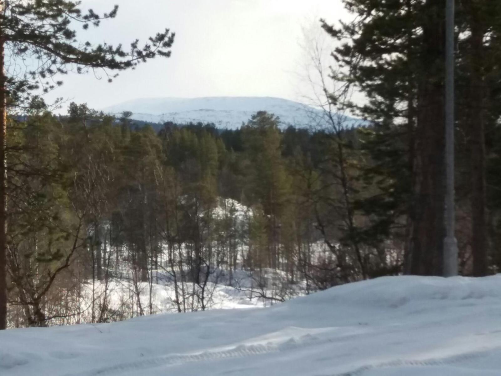 Paltto Elaemysretket Villa Lemmenjoki Værelse billede